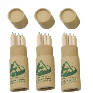 Mini Colored Pencil Set in Recycled Tube 12 pcs