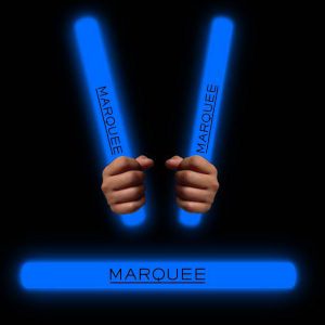 Flashing LED Foam Sticks 16"